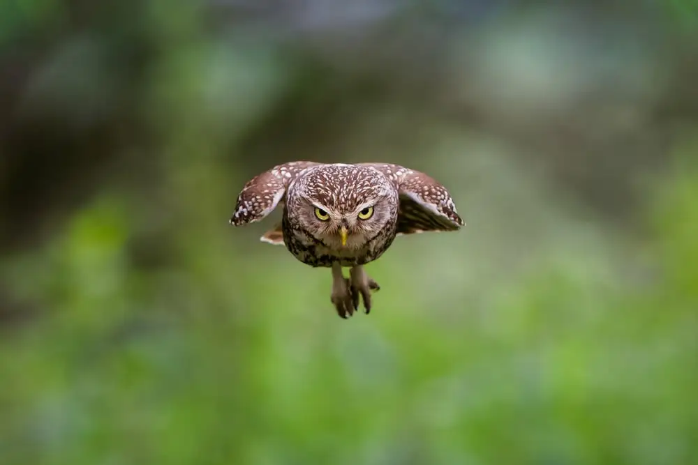 Edwin A De A Godinho R5200207 1