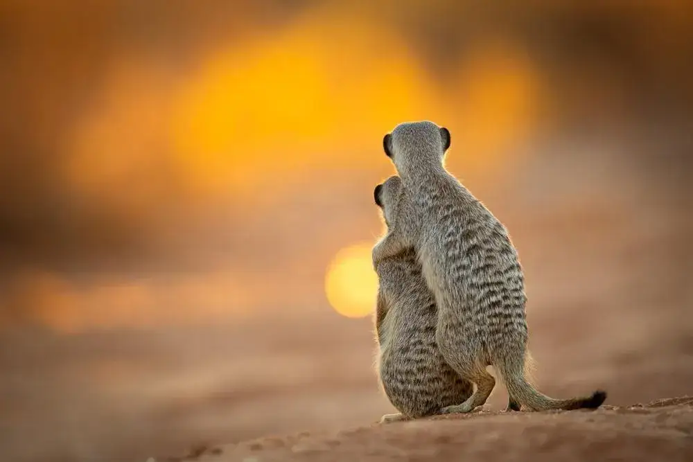 Falko Dusterhoft Germany Travel Photographer of the Year TPOTY 2025