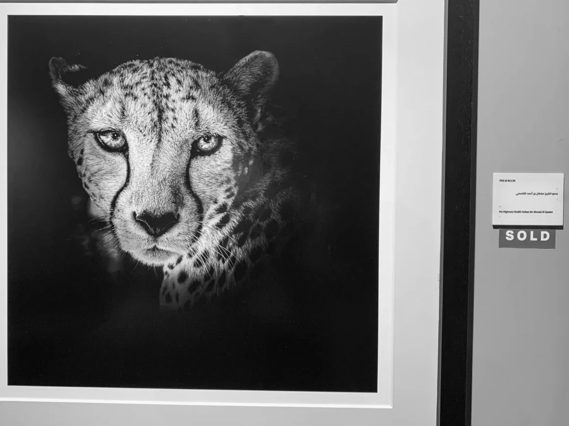 Xposure 2026: Dünyanın En Büyük Fotoğraf Festivali 46 IMG 1975 2048x1536 1