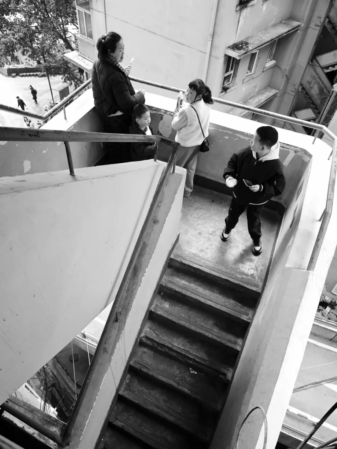 IMG 20260204 113017 tele raw Custom