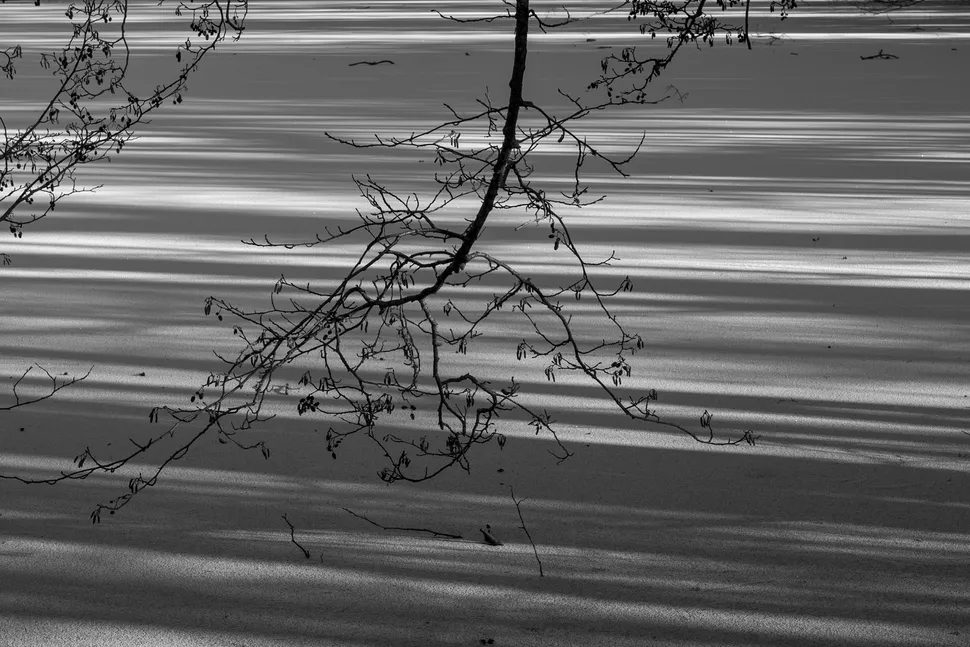 Leica Q3 Monochrom 014