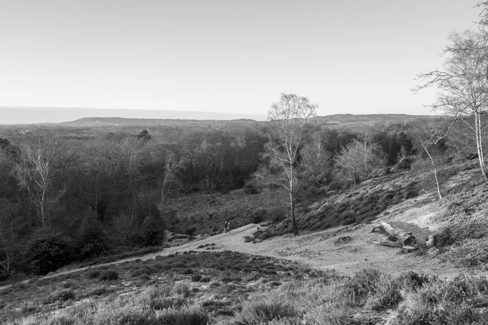 Leica Q3 Monochrom 021