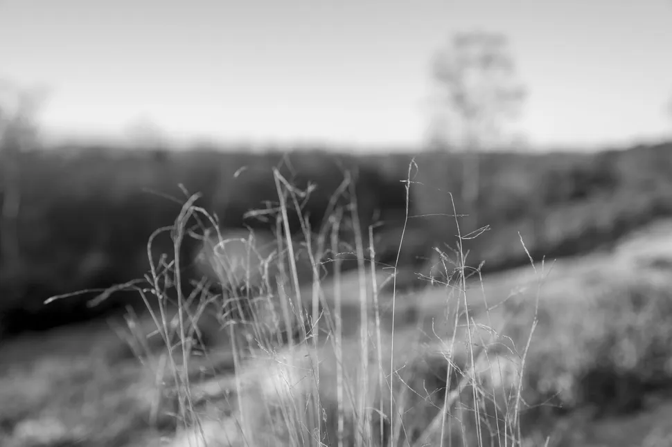 Leica Q3 Monochrom 027