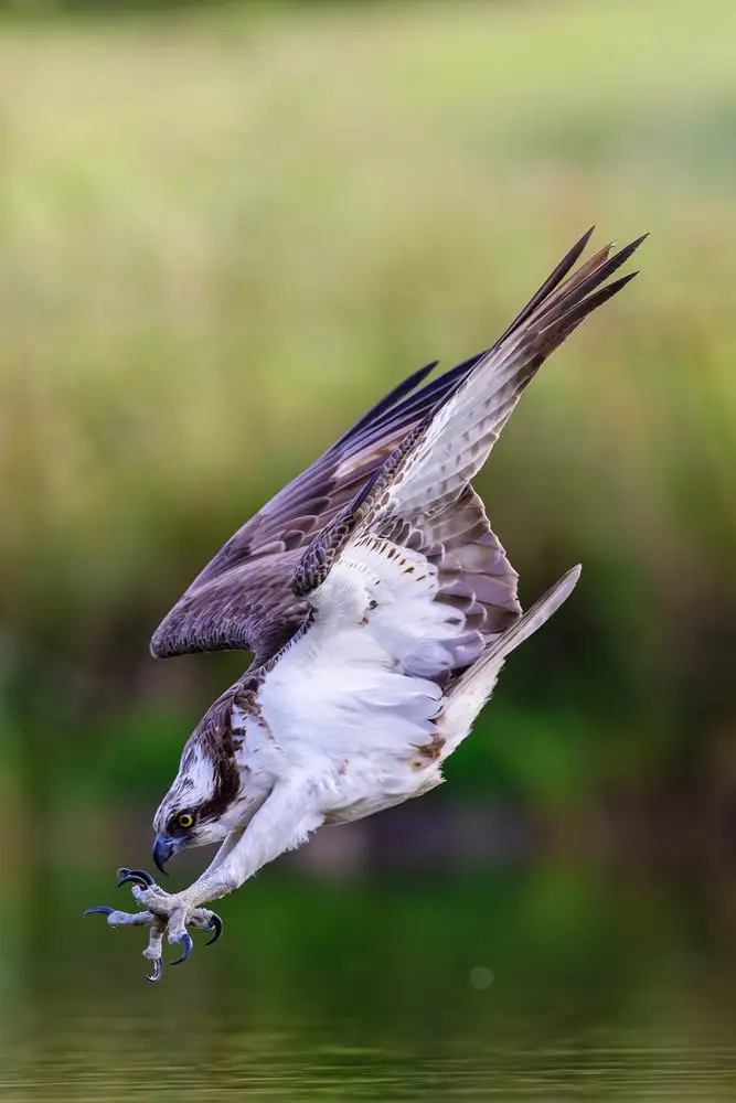 Liam McBride DSC06019