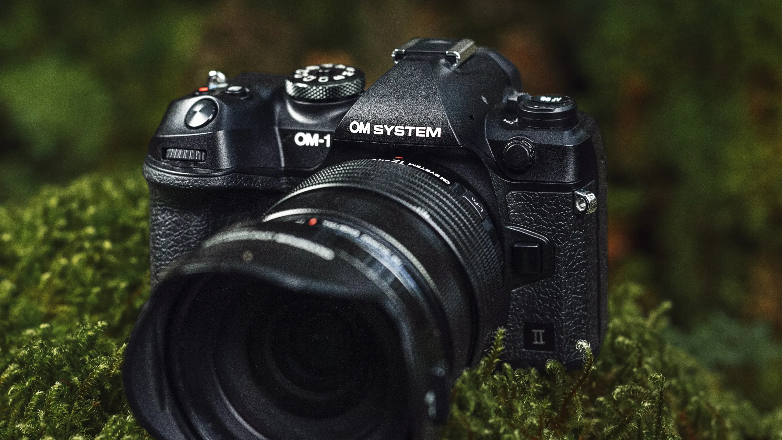 OM System OM 1 II 002 scaled