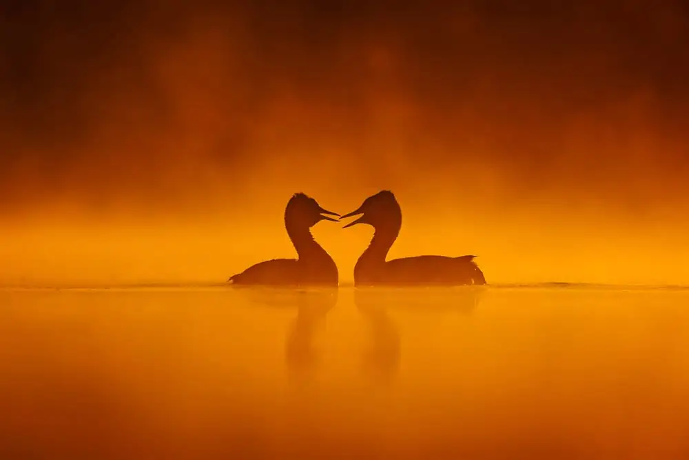 Patryk Kurc W9A2456 Edytuj