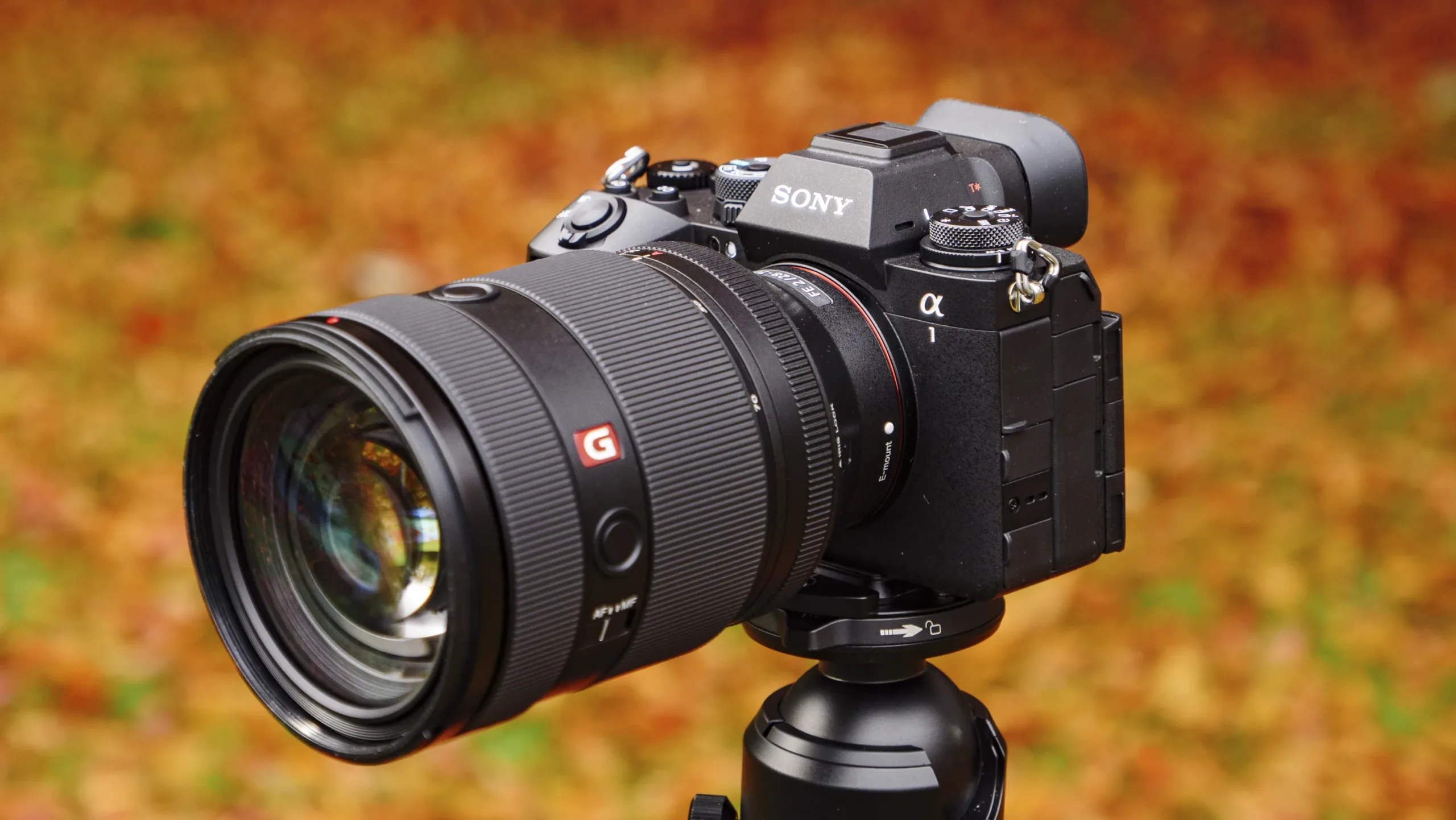 Sony A1 II 001 scaled