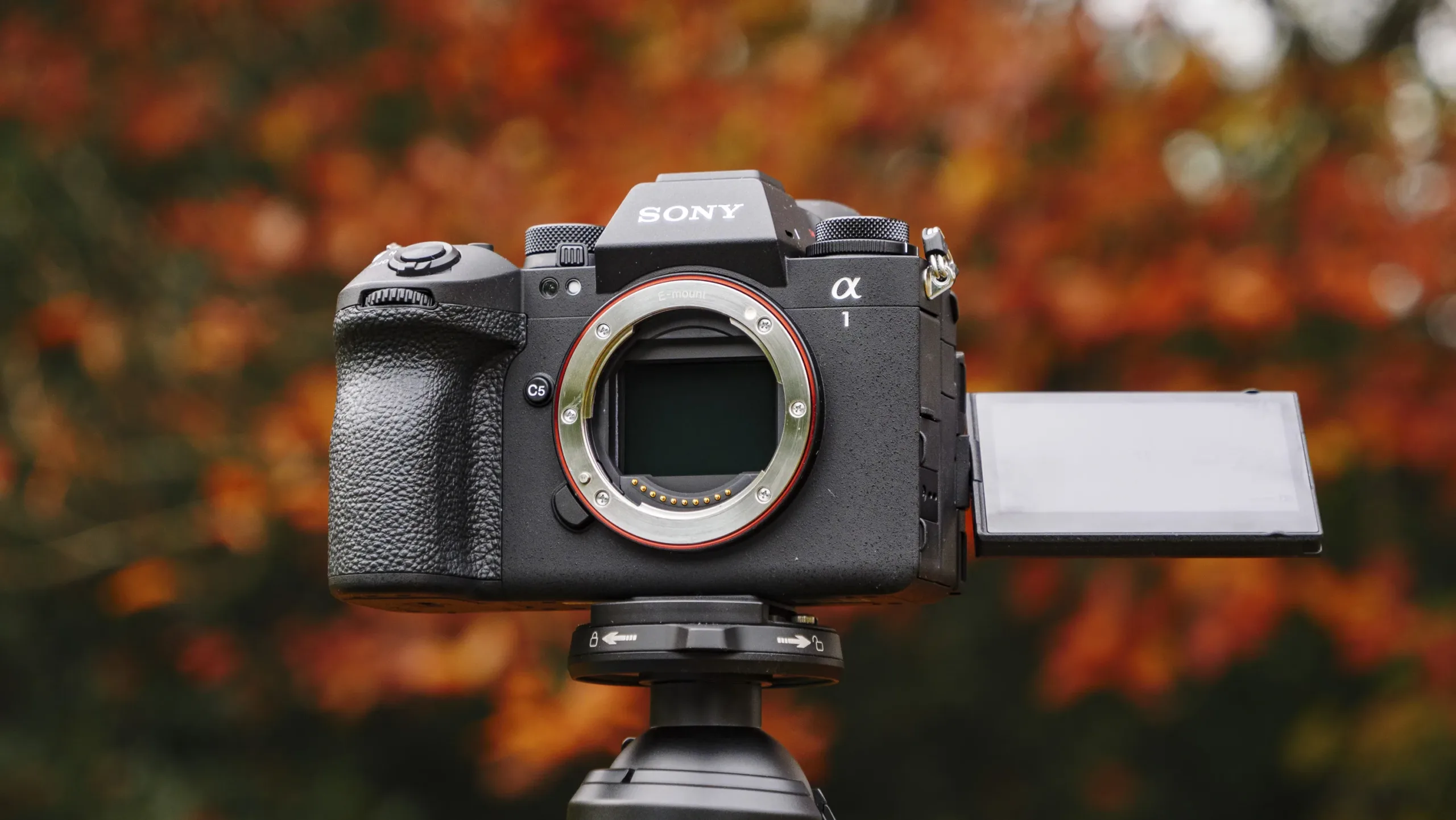 Sony A1 II 002 scaled