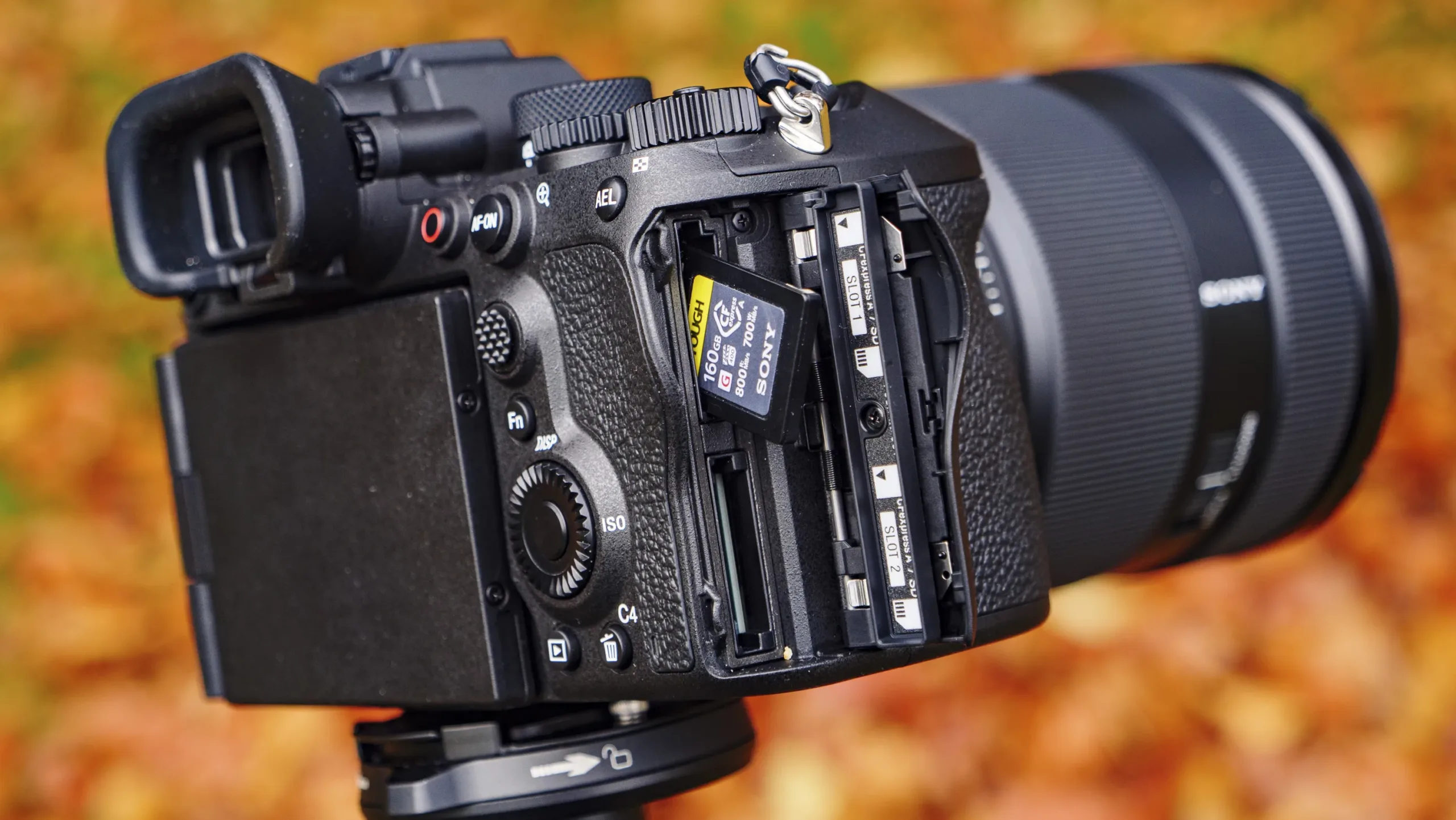 Sony A1 II 005 scaled