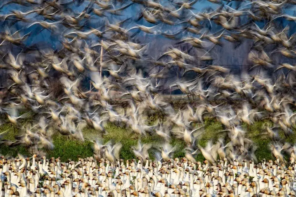 Yoshiki Nakamura U.S. Travel Photographer of the Year TPOTY 2025