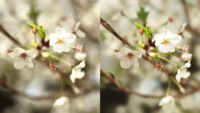 bbl modification featured