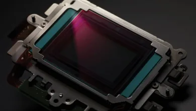 canon eos 1d iv sernsor