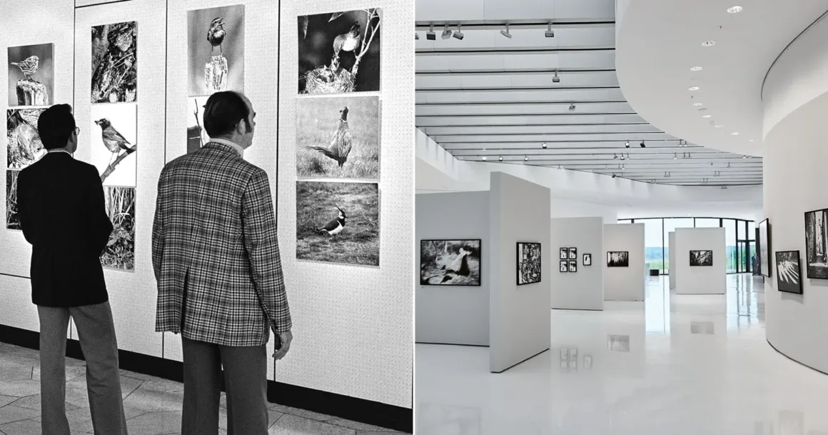 Leica Galerileri, Fotoğraf Sanatını Desteklemenin 50. Yılını Kutluyor 1 Leica Galerileri, Fotoğraf Sanatını Desteklemenin 50. Yılını Kutluyor
