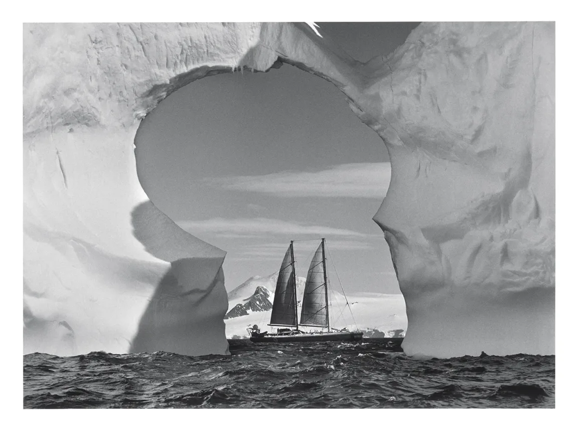 501172779 1100611265446252 6666939808997179917 n