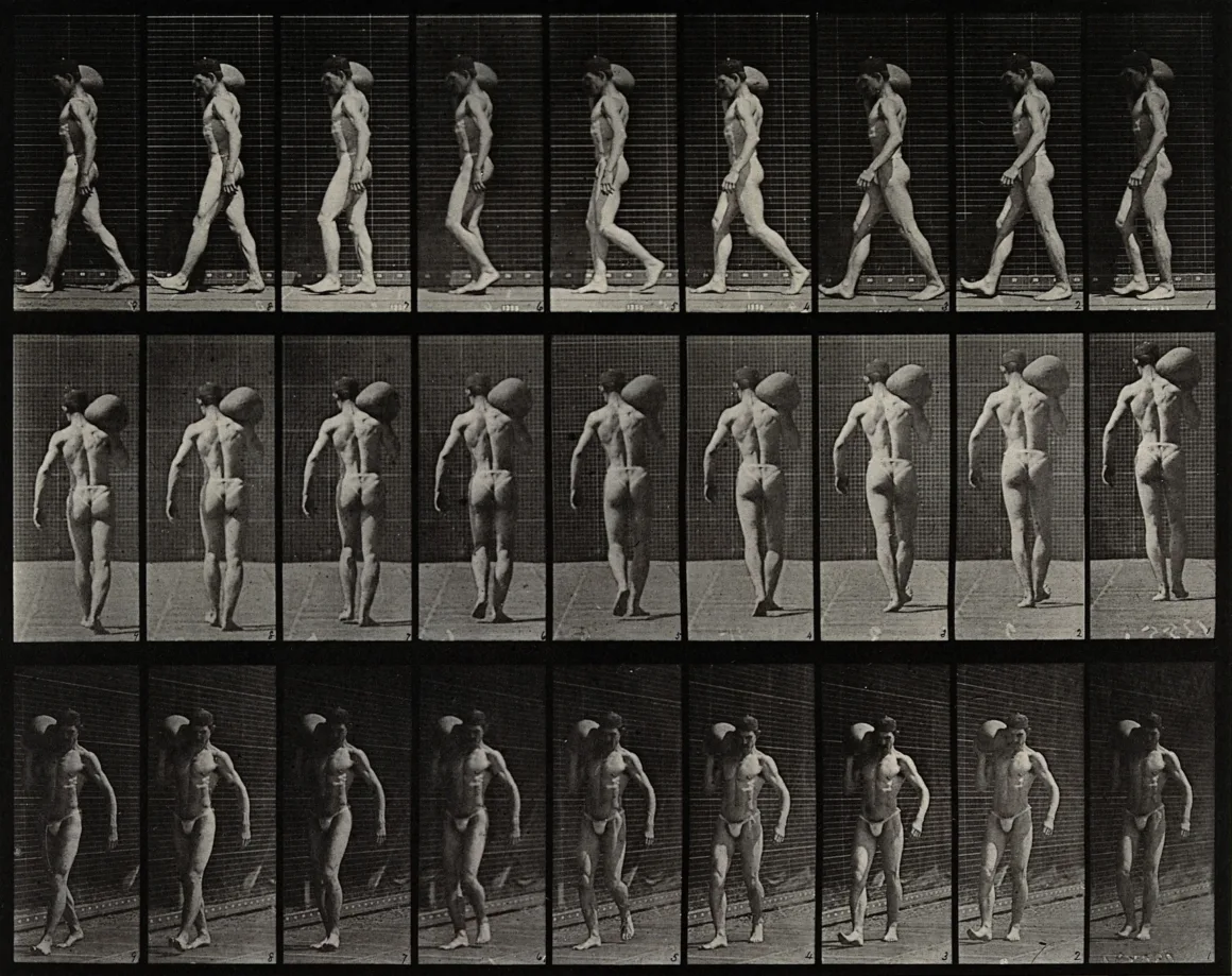 Eadweard Muybridge: Zamanı Parçalayan Adam 3 A man bearing load on shoulder. Photogravure after Eadweard Wellcome