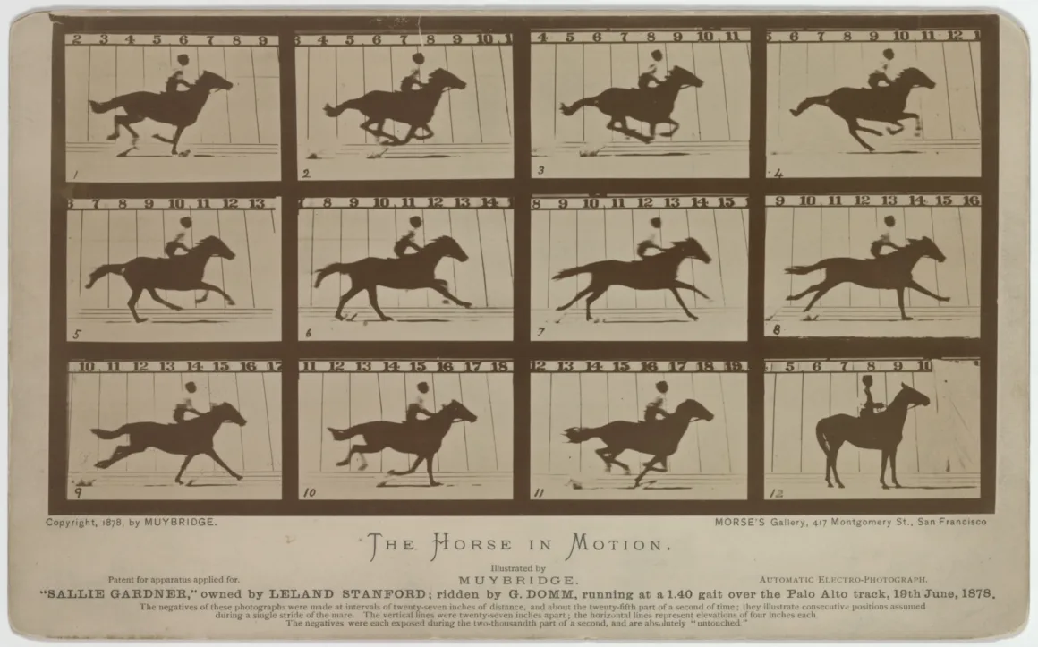Eadweard Muybridge: Zamanı Parçalayan Adam 2 Eadweard Muybridge 12 frames