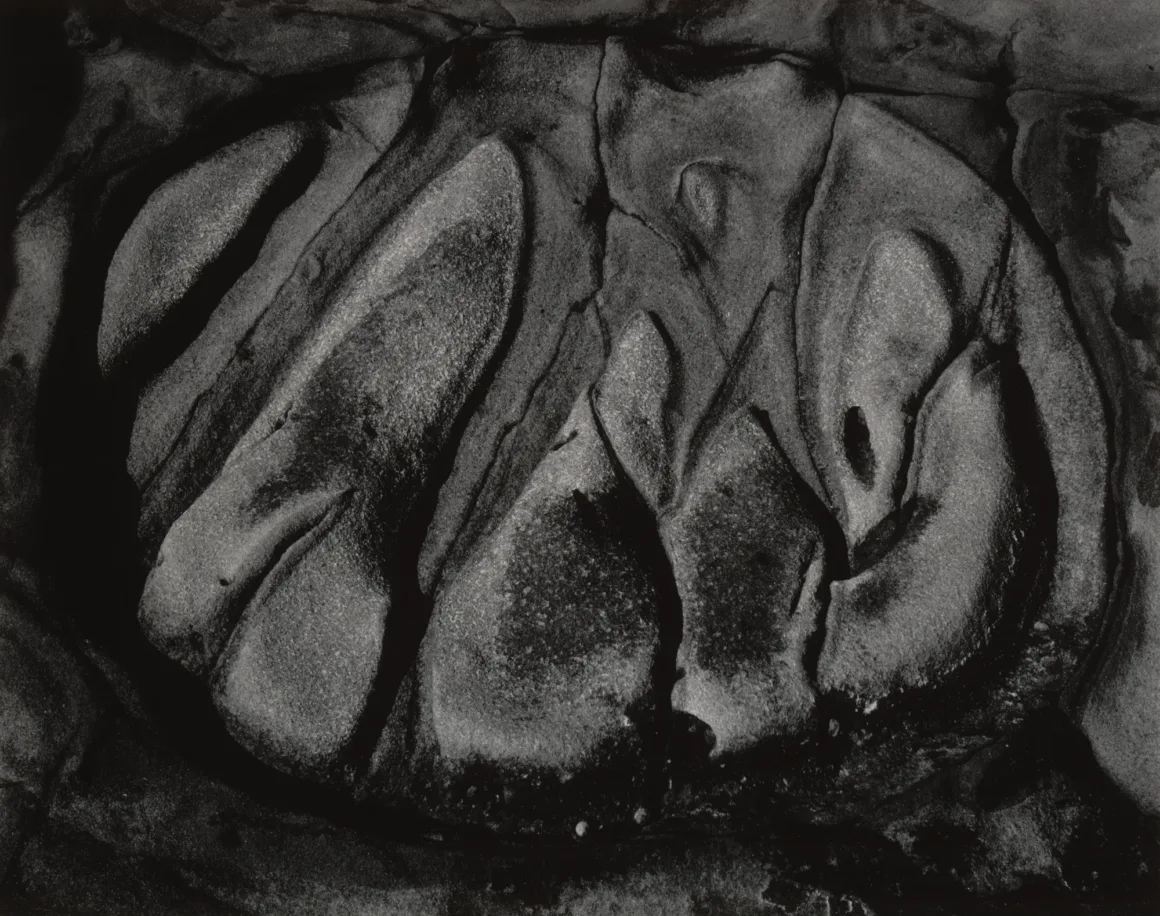 Edward Weston: Fotoğraf Nesneyi Bıraktığında Ne Olur? 10 Edward Weston. Eroded Rock Point Lobos. 1929