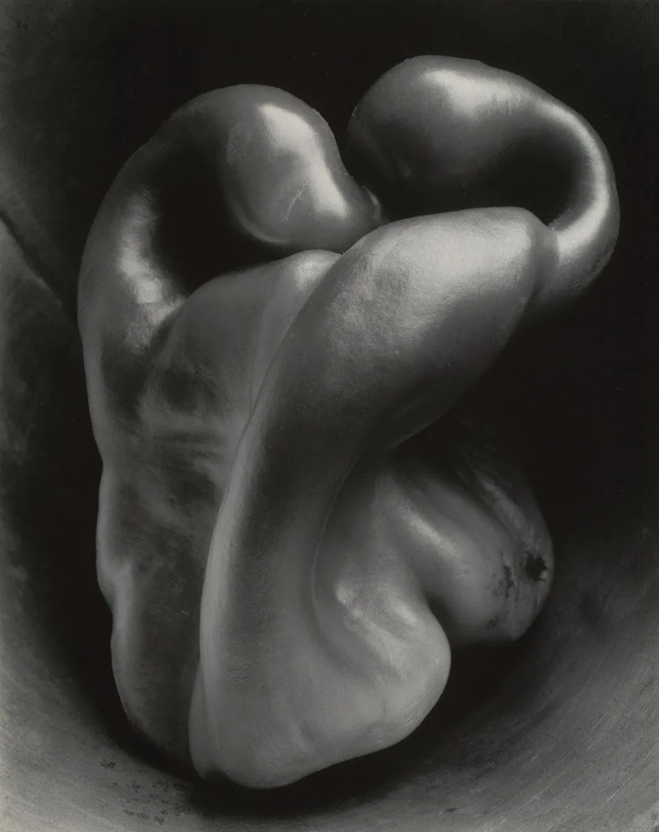 Edward Weston: Fotoğraf Nesneyi Bıraktığında Ne Olur? 2 Edward Weston. Pepper No. 30. 1930