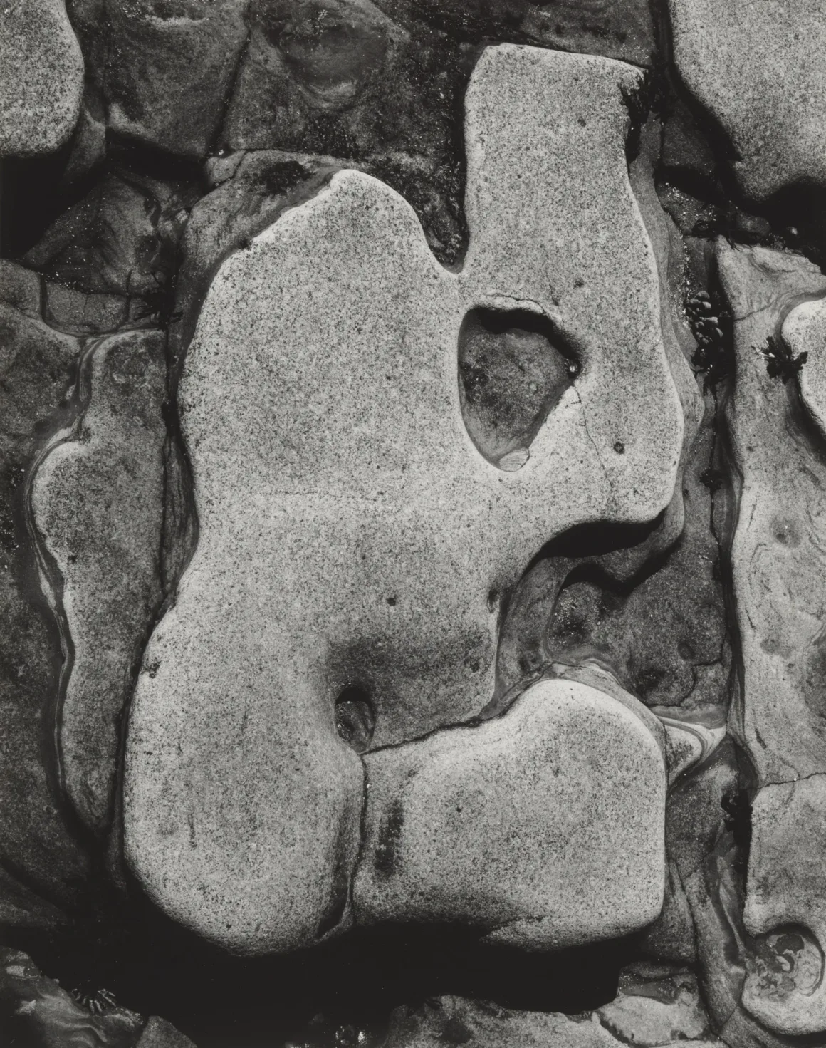 Edward Weston: Fotoğraf Nesneyi Bıraktığında Ne Olur? 11 Edward Weston. Rock Erosion Point Lobos. 1935