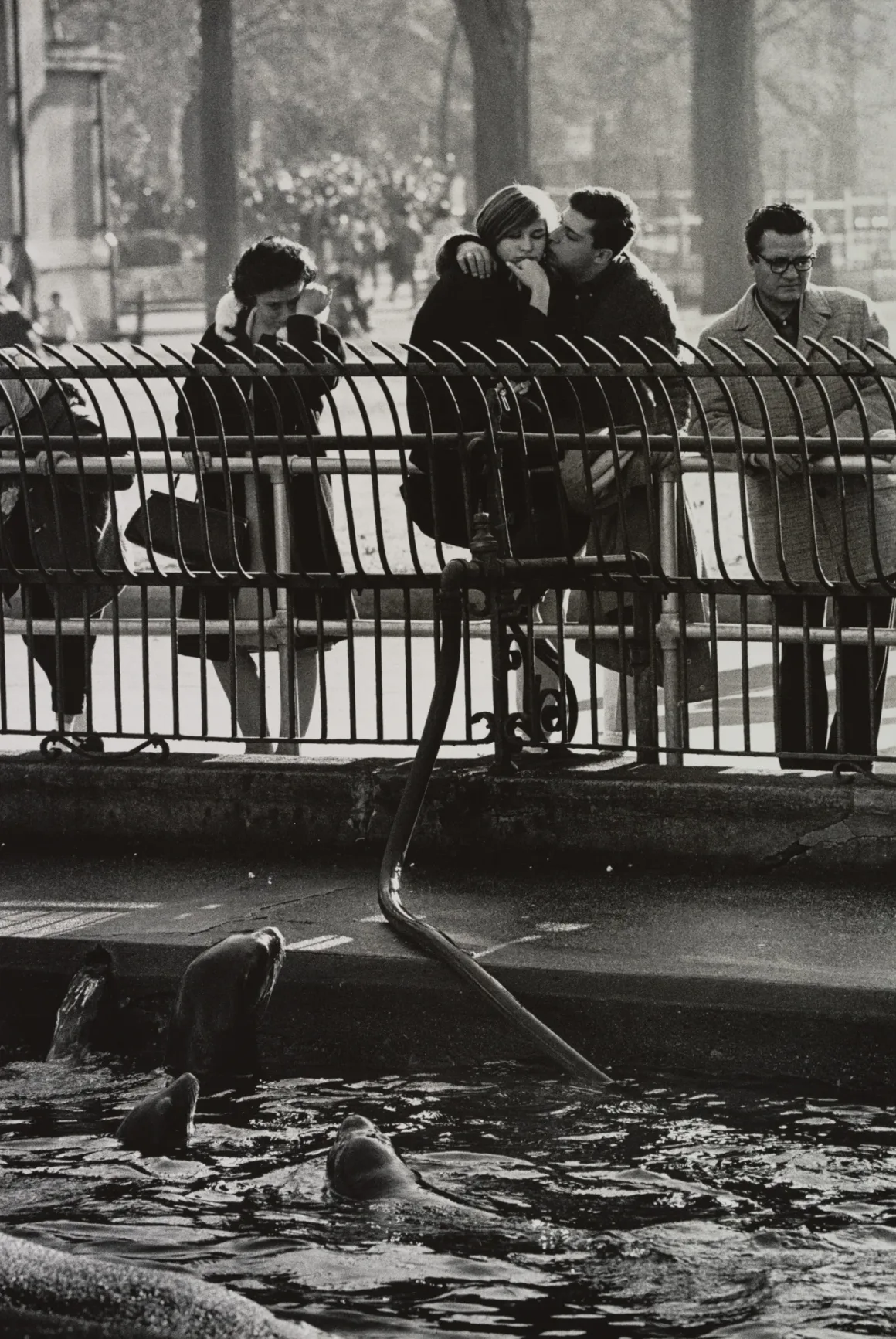 Garry Winogrand Central Park Zoo New York 1963