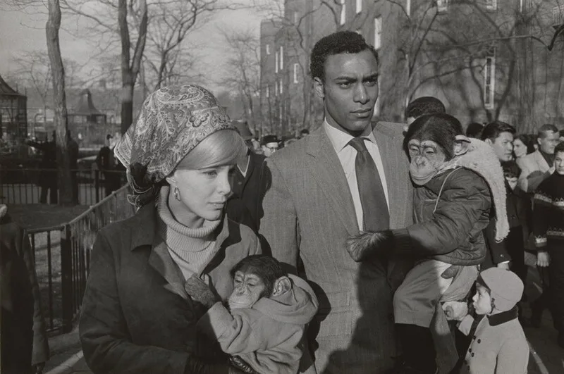 Garry Winogrand: Sokakta Kaosu Görmenin Sanatı