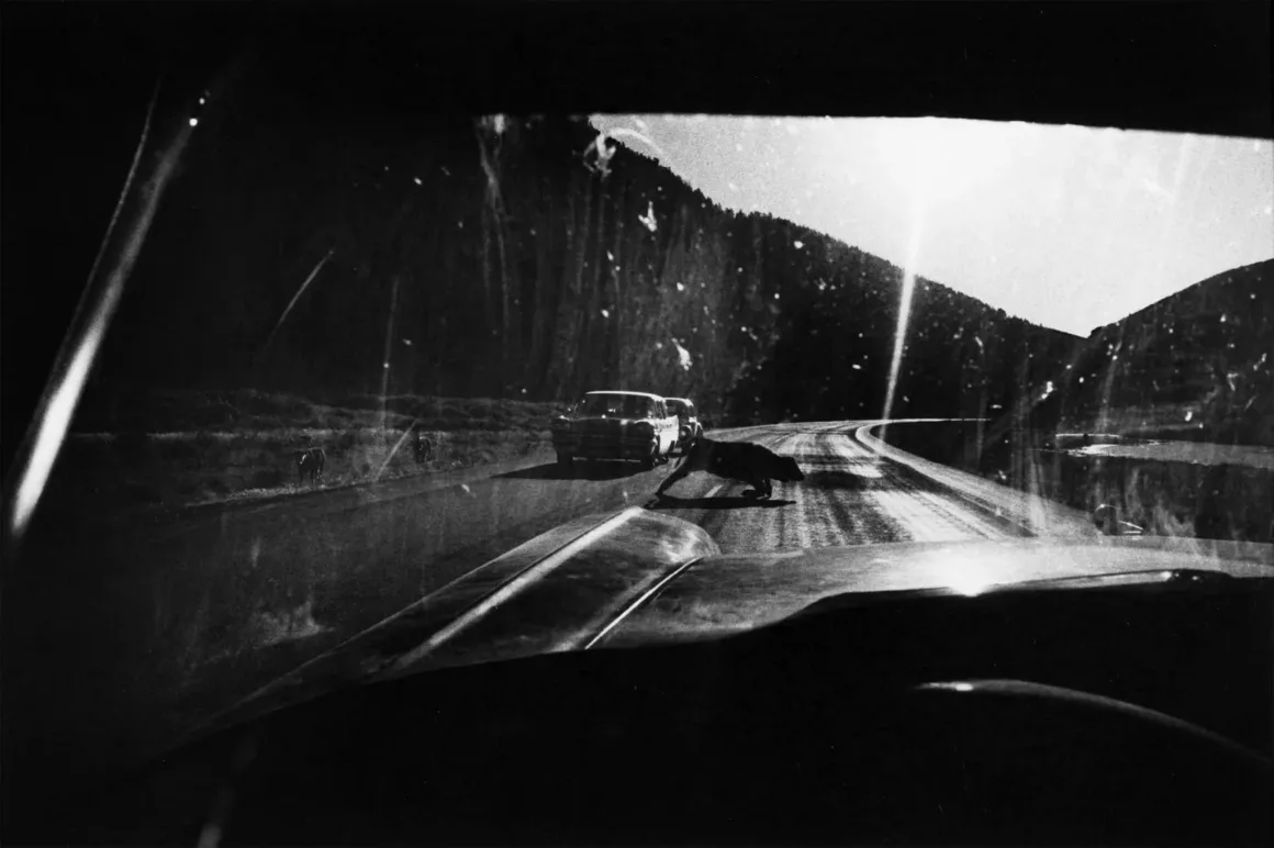 Garry Winogrand – New York City street scene early 1950s