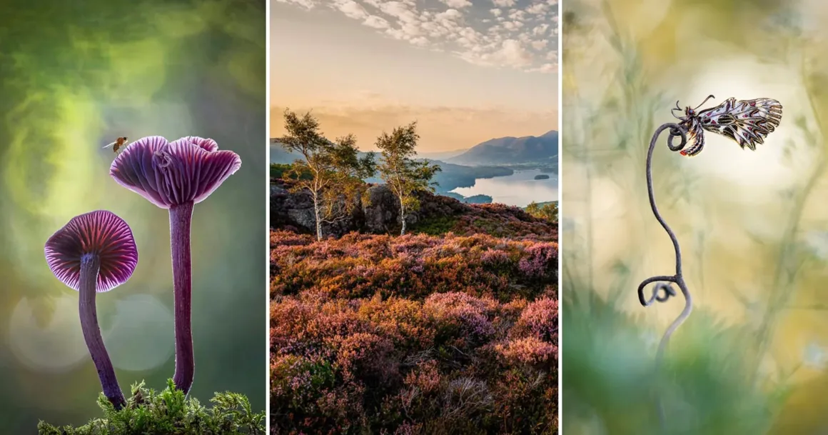IGPOTY 19 Kazananları Açıklandı 1 IGPOTY 19 Kazananları Açıklandı