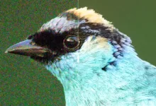 Illustration With Without 006 DxO PureRAW6 March2026 credit PetrBAMBOUSEK