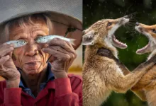 LSE Photographer of the year