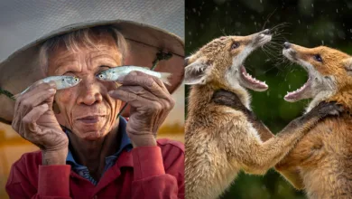 LCE Photographer of the Year 2026 kazananları açıklandı 14 LSE Photographer of the year