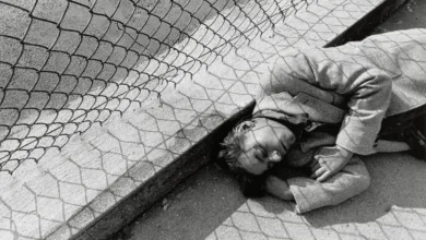 Lee Friedlander Still Life