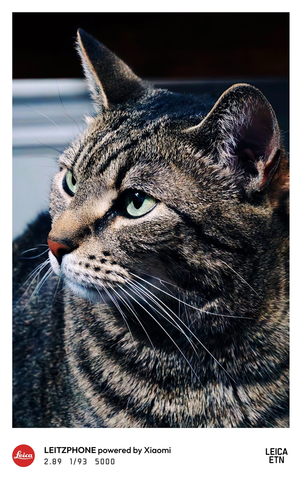 Leica Leitzphone Xiaomi Leica Eternal Look