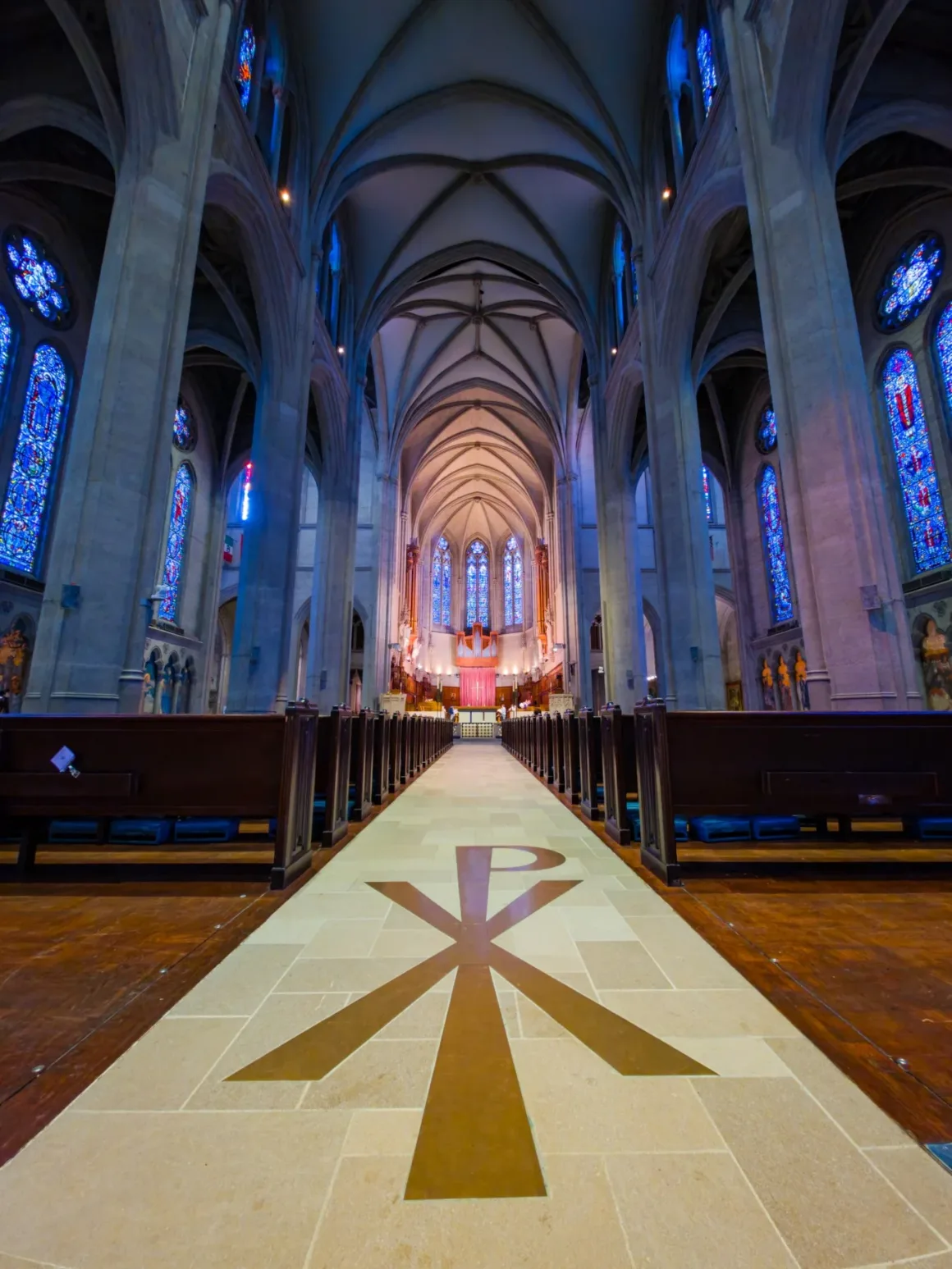 Samsung Galaxy S26 Ultra ultra geniş açı kamera örneği