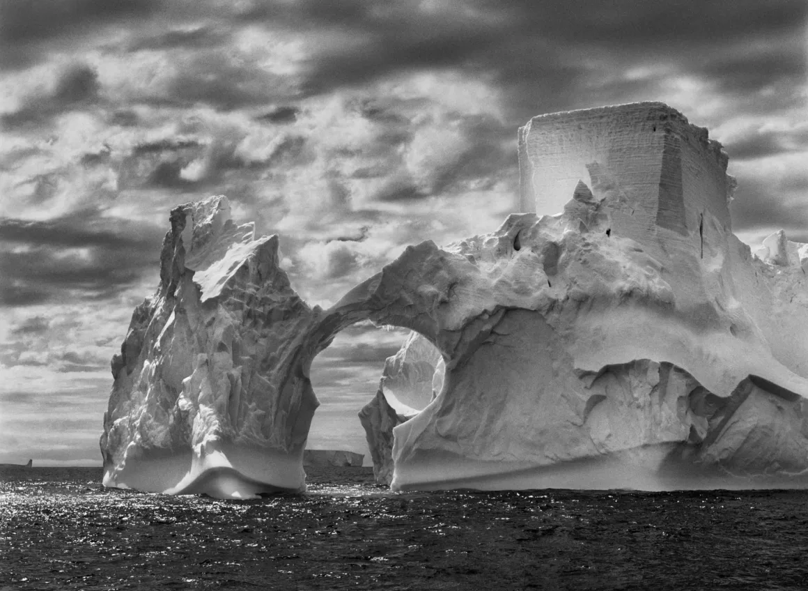 Salgado Iceberg.jpg