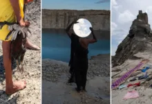 Sridhar Balasubramaniyam Three Panel