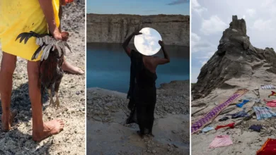 Sridhar Balasubramaniyam Three Panel