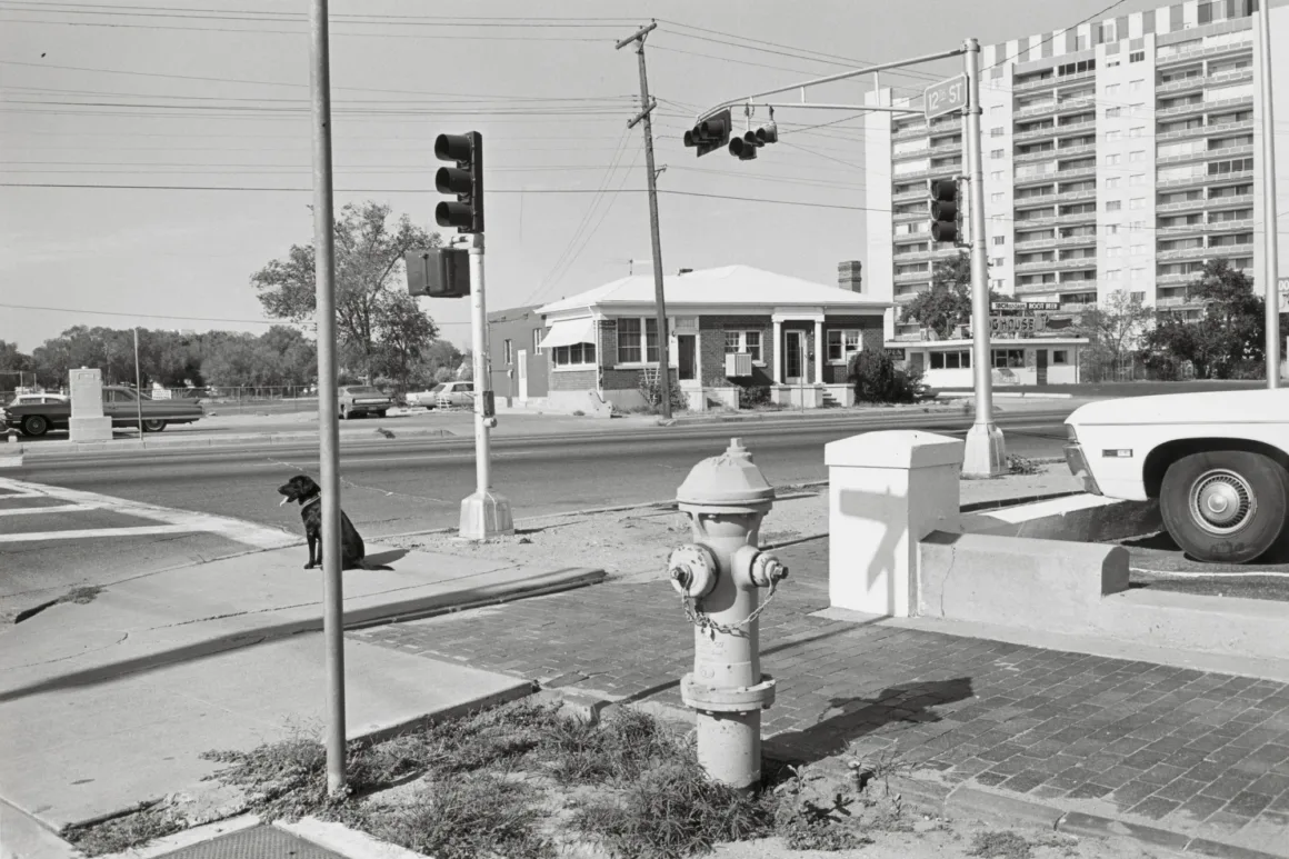 W1siZiIsIjMzNjcxMyJdLFsicCIsImNvbnZlcnQDIwMDB4MTQ0MFx1MDAzZSJdXQ