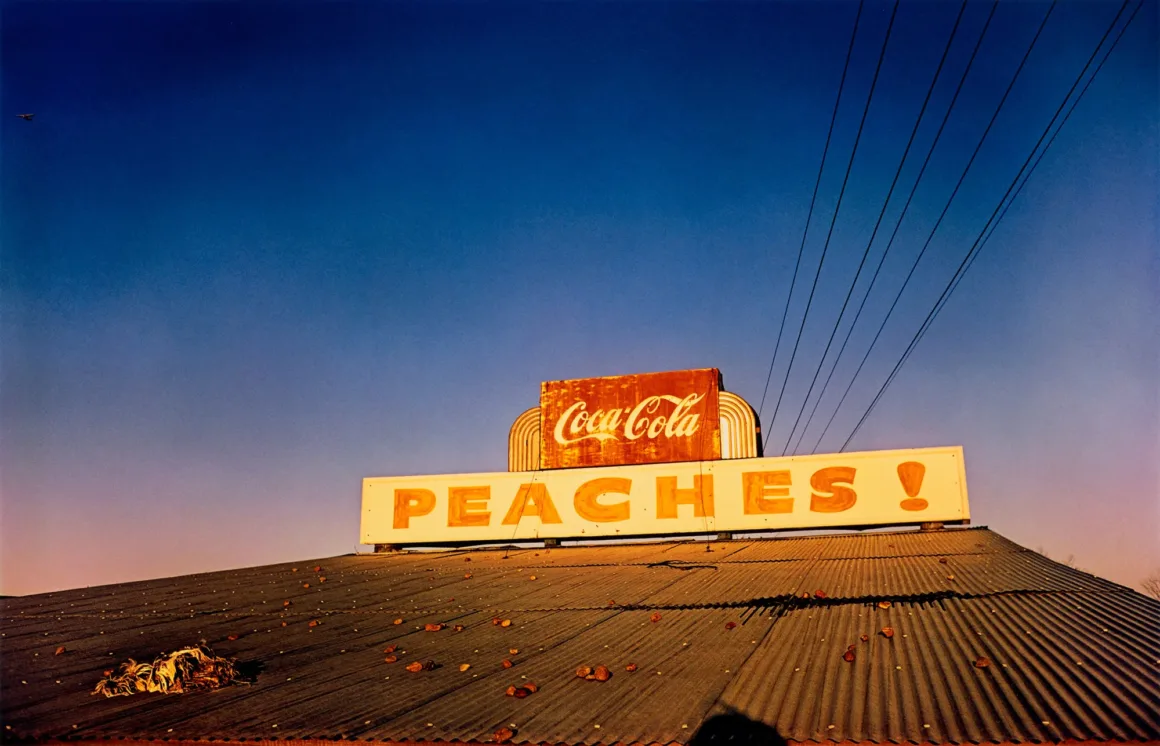 William Eggleston – Untitled Peaches 1973