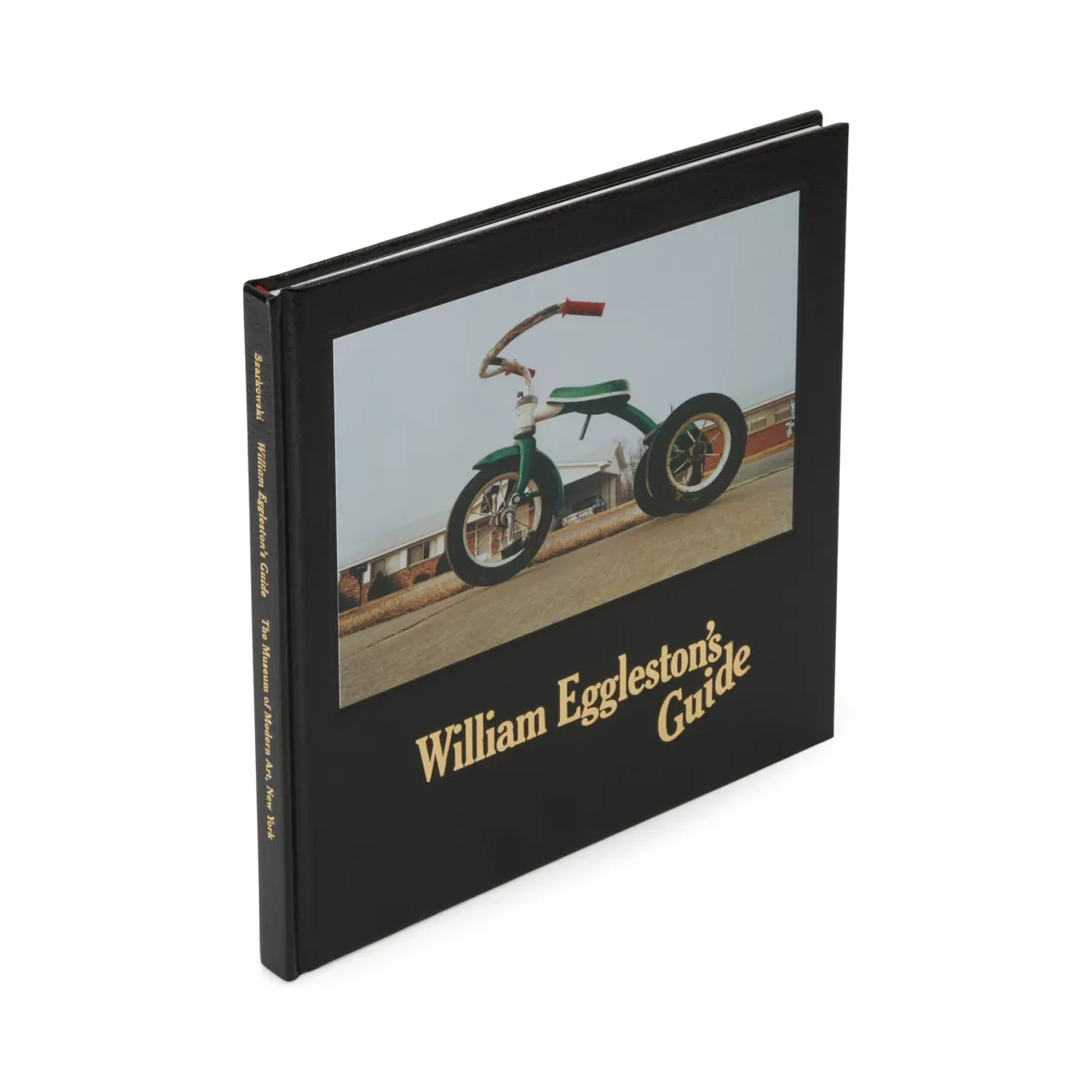 William Egglestons Guide