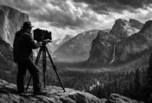 ansel adams feat