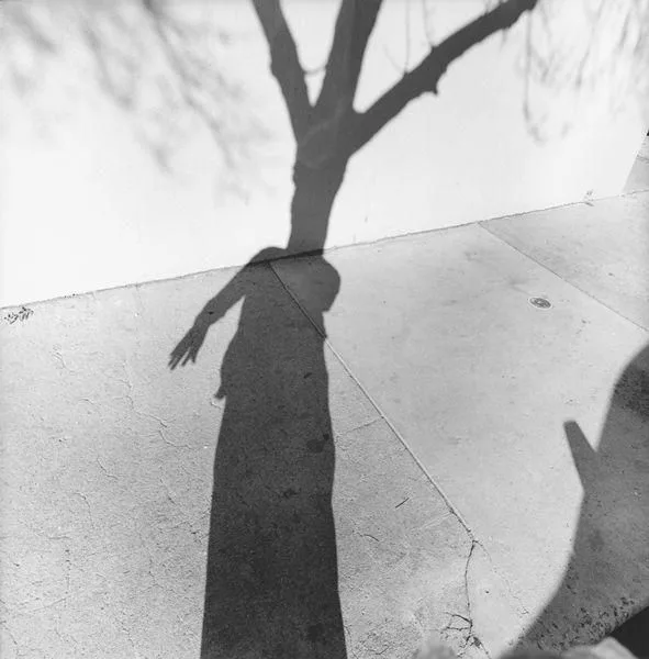 Lee Friedlander street photography with reflections shadow and layered composition
