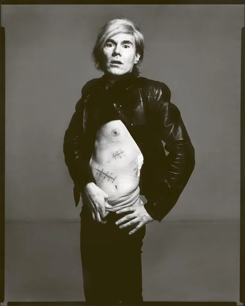 e02698 001 ref 001 hd avedon andywarhol pao 2