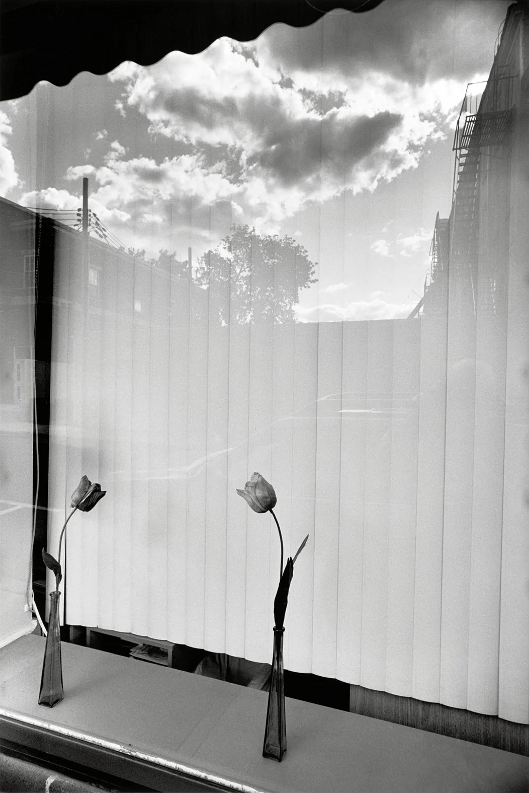 Life Still: Lee Friedlander’ın Gündelik Amerika’yı Parçalama Biçimi 4 lee friedlander nyack new york 2007