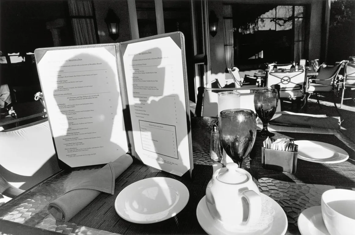 Life Still: Lee Friedlander’ın Gündelik Amerika’yı Parçalama Biçimi 10 lee friedlander tucson 2011