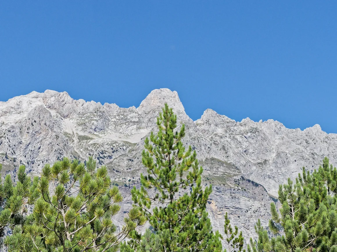 Neden Herkes Manzara Fotoğrafçılığını Denemeli ve Nasıl Yapılır 3 mountain from below