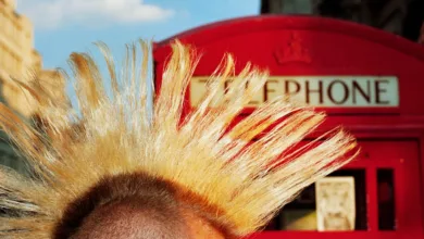 Martin Parr: Flaşın Acımasız Gerçeği 16 parr londonpunk 2