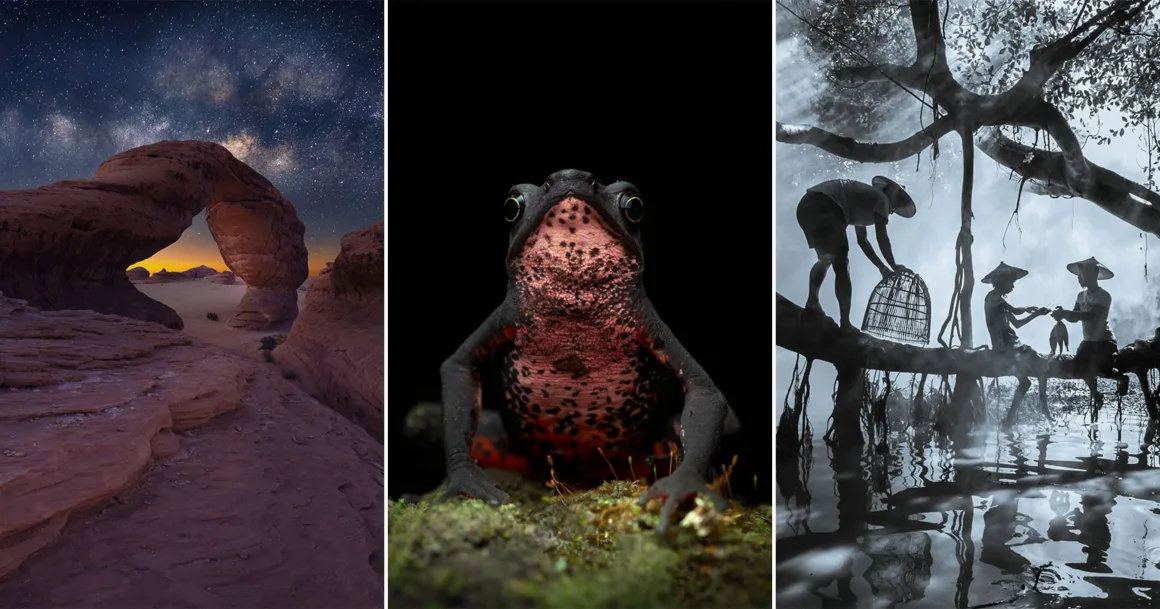Sony World Photography Awards 2026: Ulusal ve Bölgesel Kazananlar Açıklandı