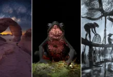 swpa 2026 nat regional featured