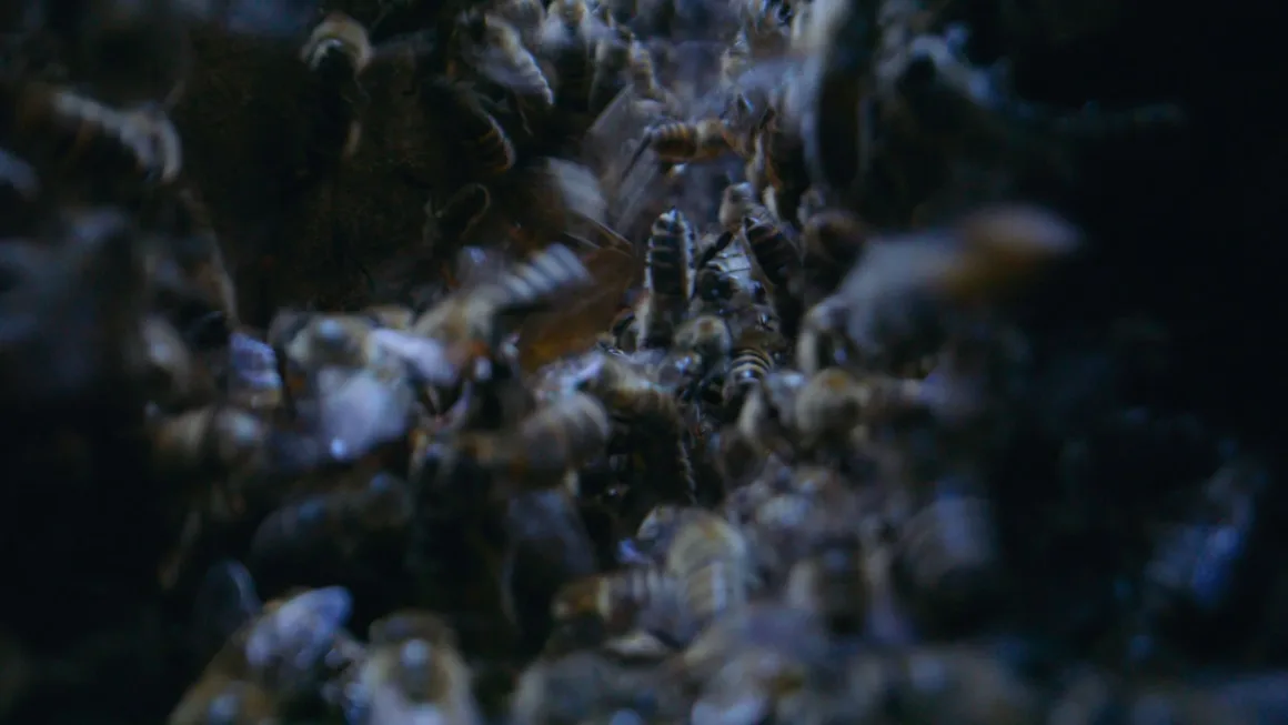 101 TheHive SecretsOfTheBees UHD 09