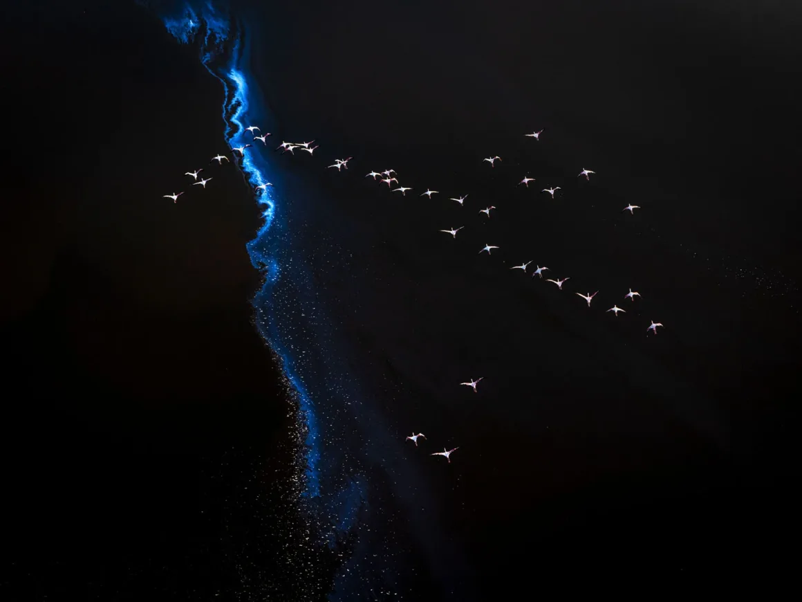 20240217 LakeMagadi DSC9627